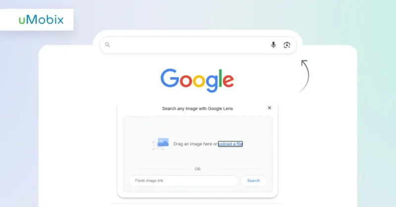 Google Search and Google Image Search
Google Search and Google Image Search