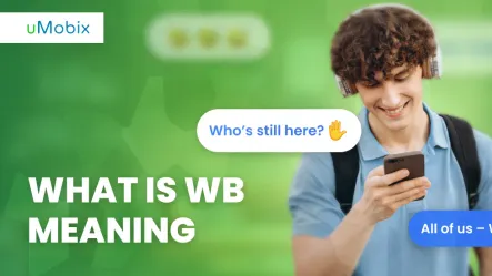 What Is WB Slang Meaning? What Is WB Slang Meaning?