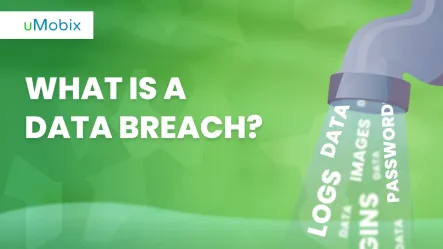 What Is a Data Breach?