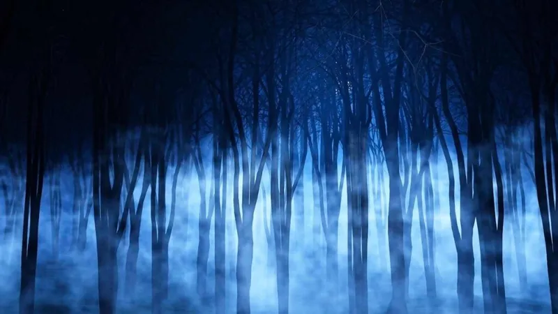 What Is Creepypasta? What Is Creepypasta?