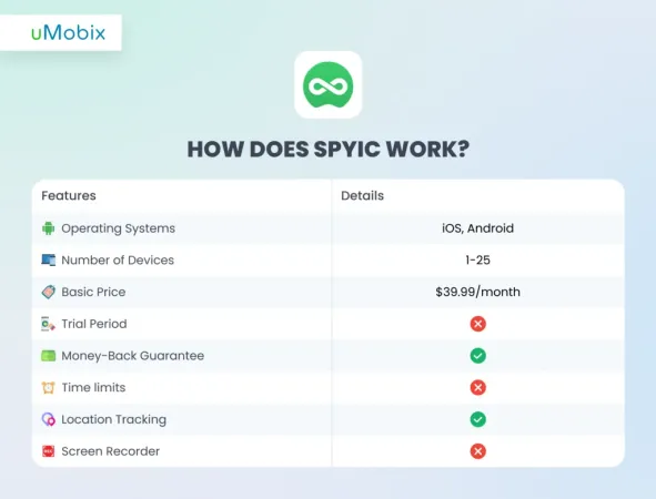 How Does Spyic Work?