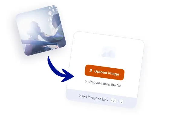 insert an image insert an image