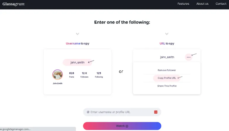 How to use Glassagram