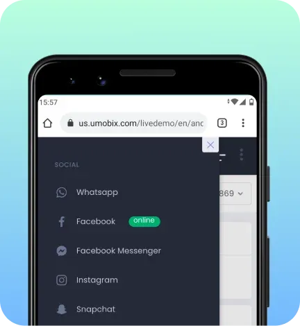 Online status indicator